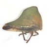 Treehopper Treehopper, membrachidae, dried insect specimen, school insect collection, 4-H bug collection, science Olympiad